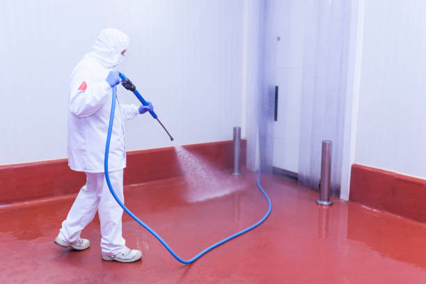 Pre-Holiday Cleaning in Honokaa, HI